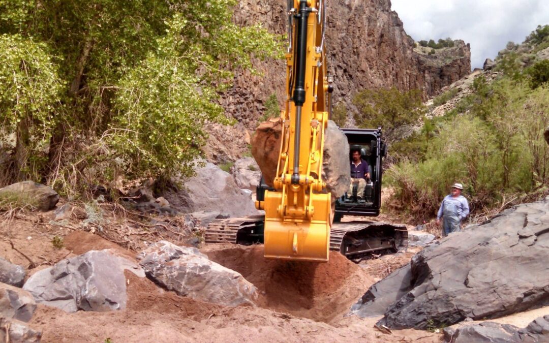Diablo Canyon Spring Restoration