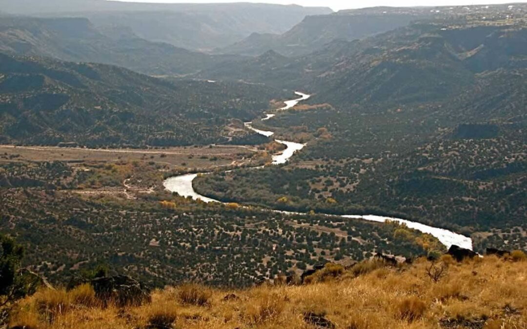 Buckman River Ecosystem Restoration Initiative Phase 1