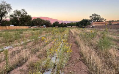 Casa San Ysidro Heritage Field