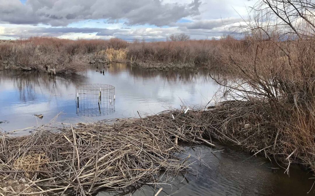 Santa Fe River Pond Leveler Installation