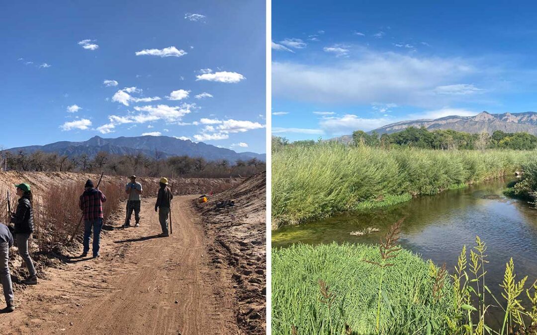 Harvey Jones Bioswale before and after restoration.