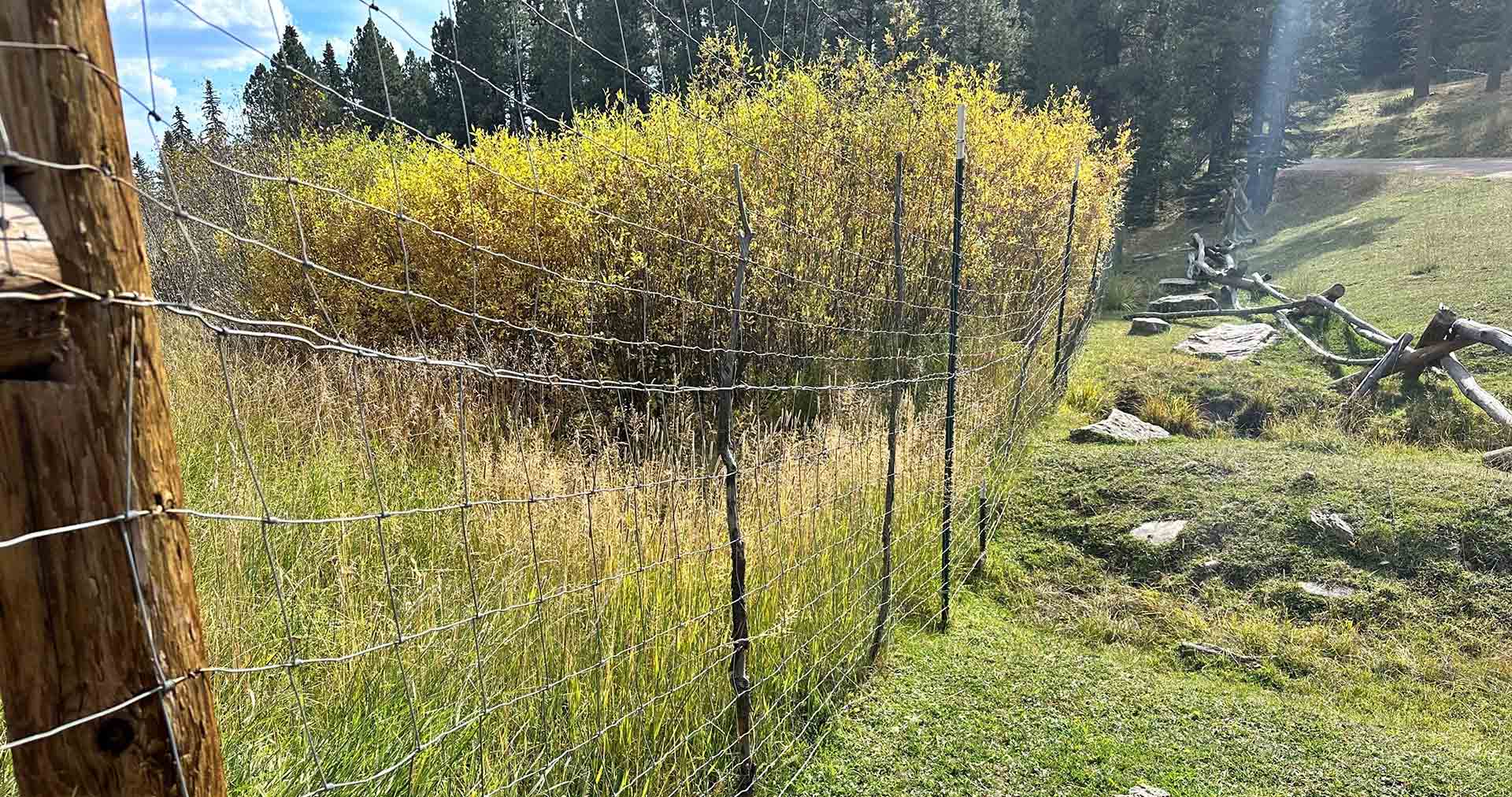 RPN-fenceline-grazing-versus-none-1920x1012 Rito Peñas Negras