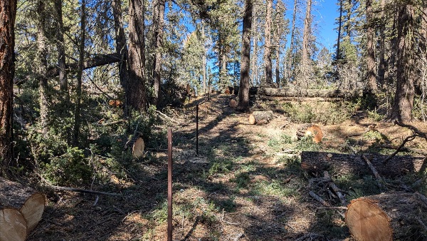 Valles Caldera Restoration