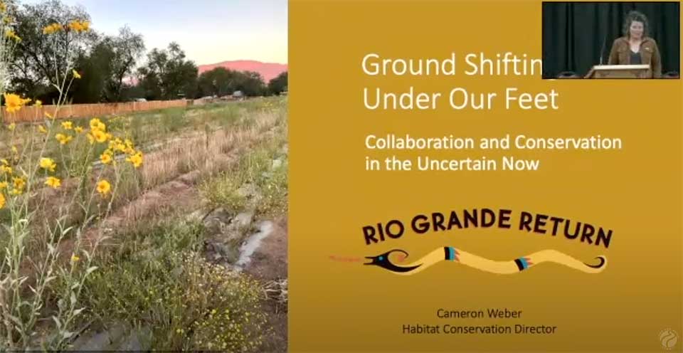 Ground Shifting Under Our Feet – Collaboration and Conservation in the Uncertain Now