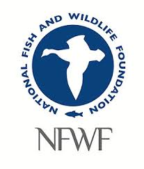 National Fish and Wildlife Foundation National Fish and Wildlife Foundation