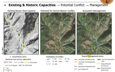 Beaver Restoration Assessment Tool