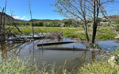Human – Beaver Coexistence