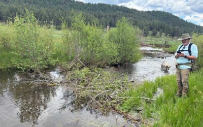 Rio de las Vacas Watershed Assessment