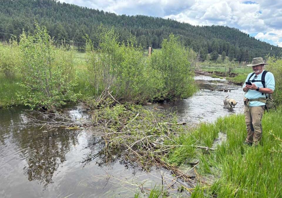 Rio de las Vacas Watershed Assessment
