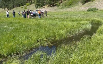 New Mexico Beaver Coalition Field Trips and Workshops