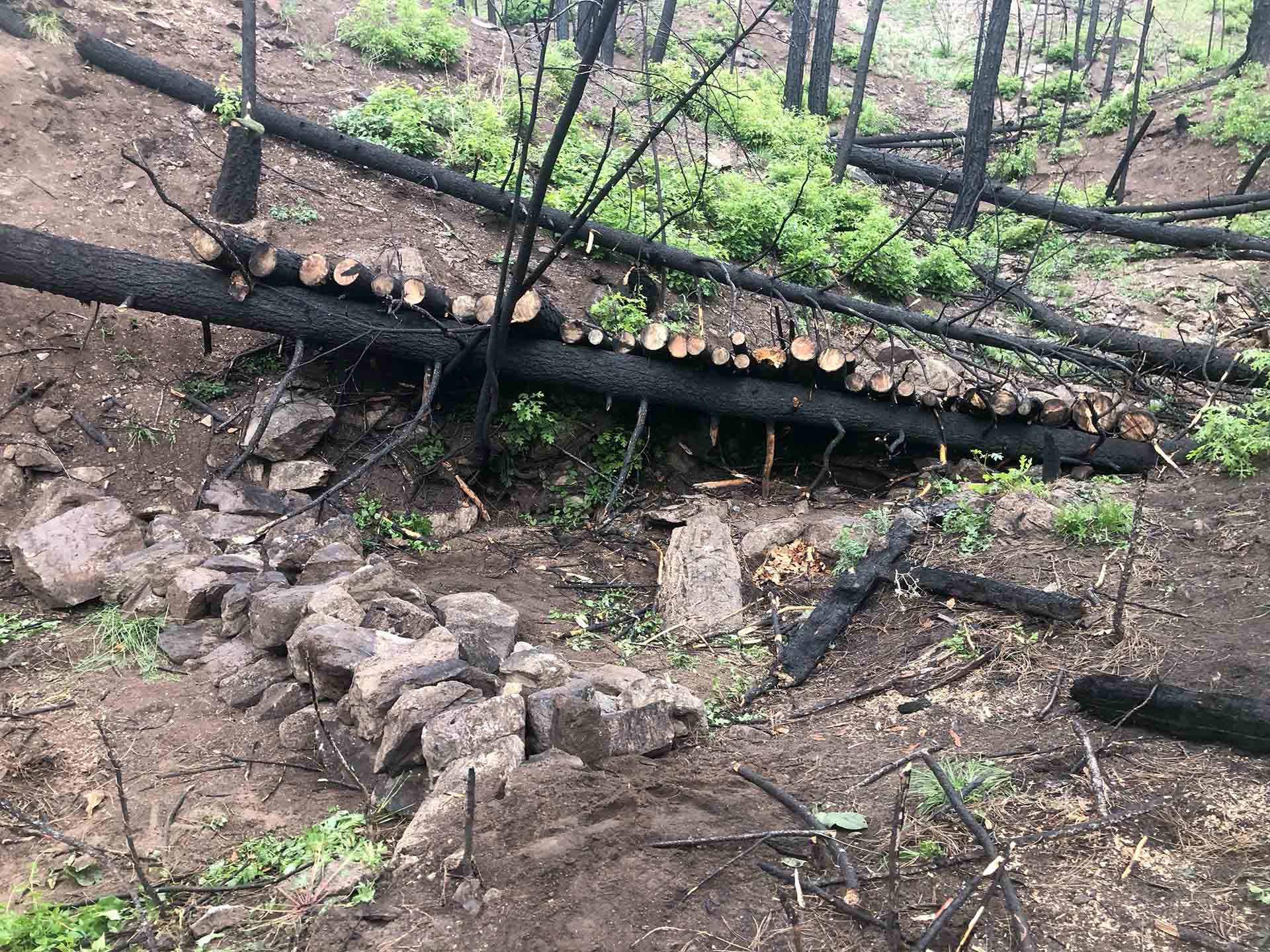 Hermit’s Peak – Calf Canyon Post-Fire