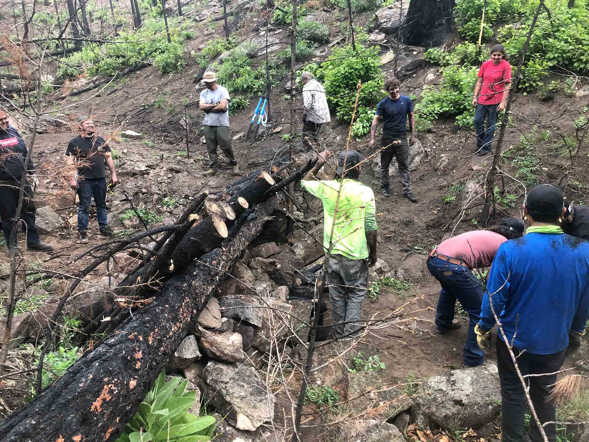 Hermit’s Peak – Calf Canyon Post-Fire