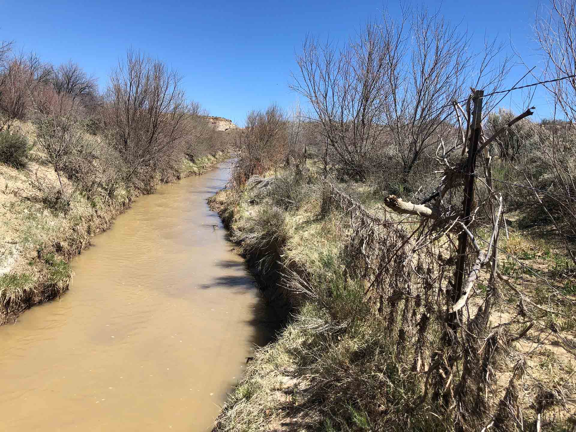 Rio Puerco Restoration