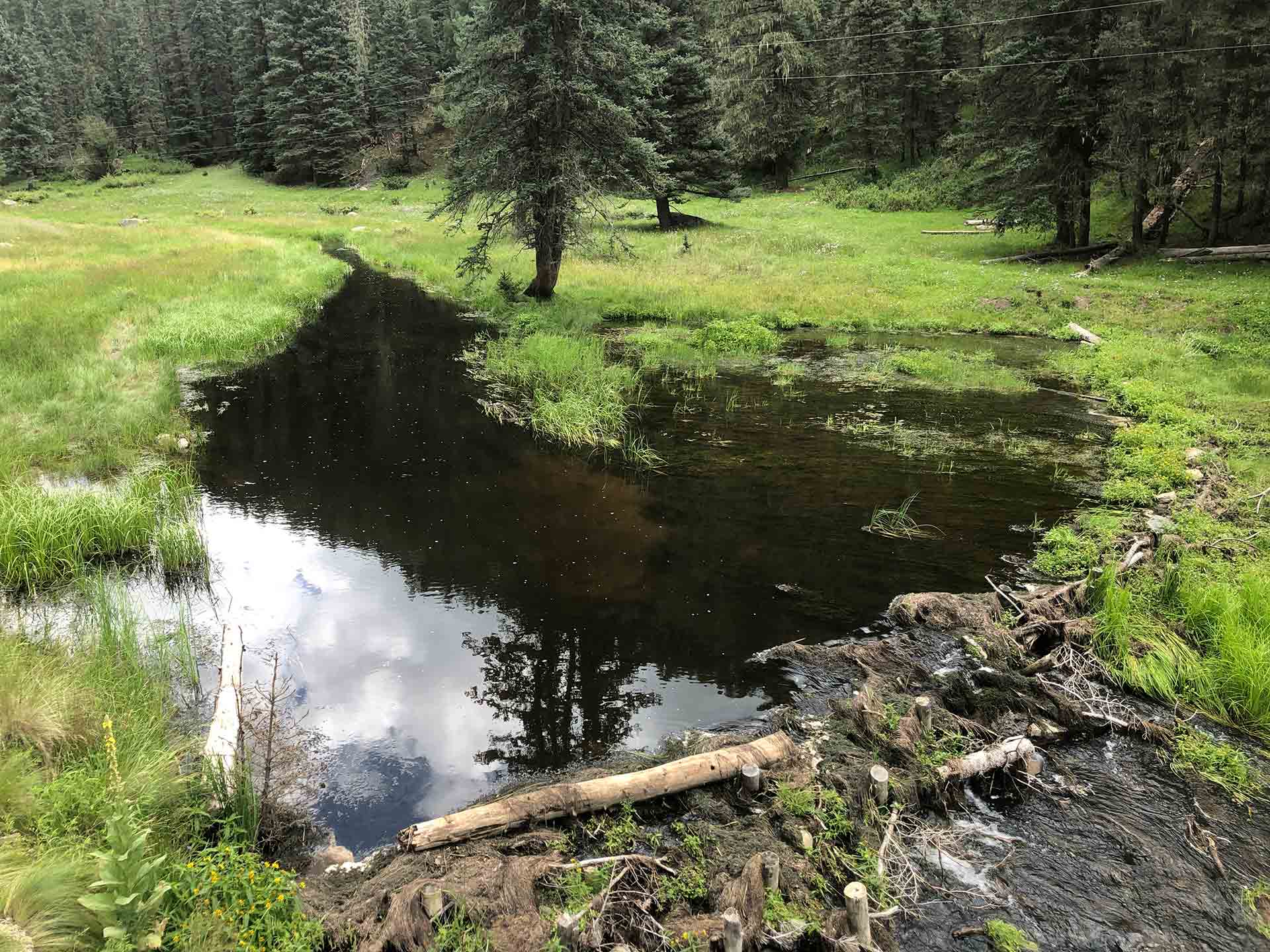 San Antonio Creek