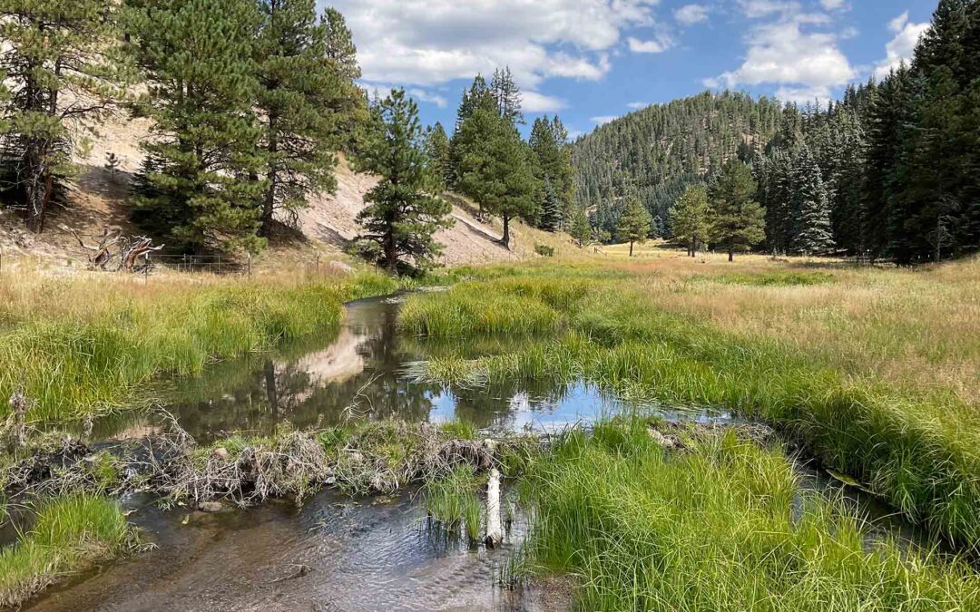 San Antonio Creek
