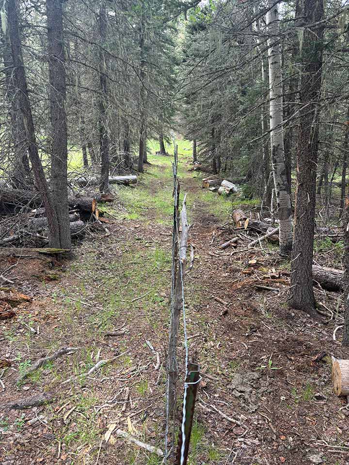 Valles Caldera National Preserve Boundary Fence