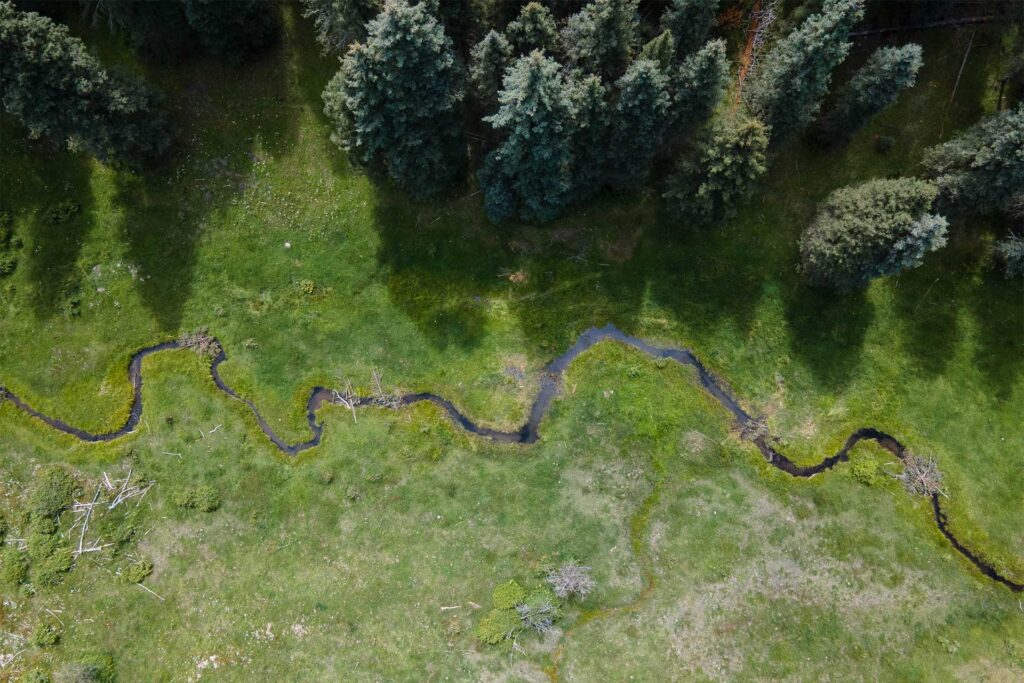Riverscape Restoration