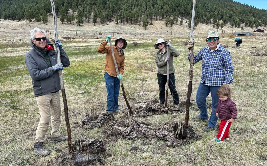 May-June 2025 Weekend Workshops