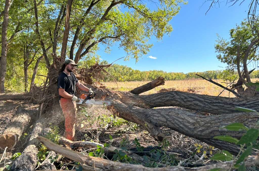 Tijeras Watershed Restoration