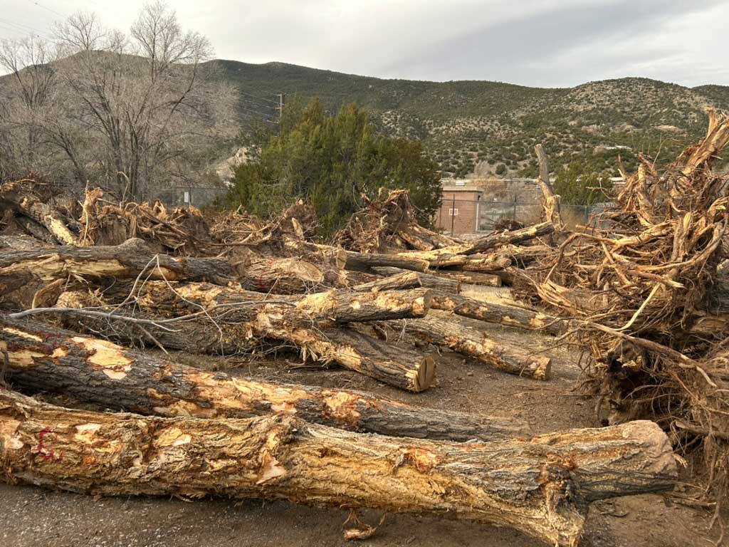 Tijeras Watershed Restoration