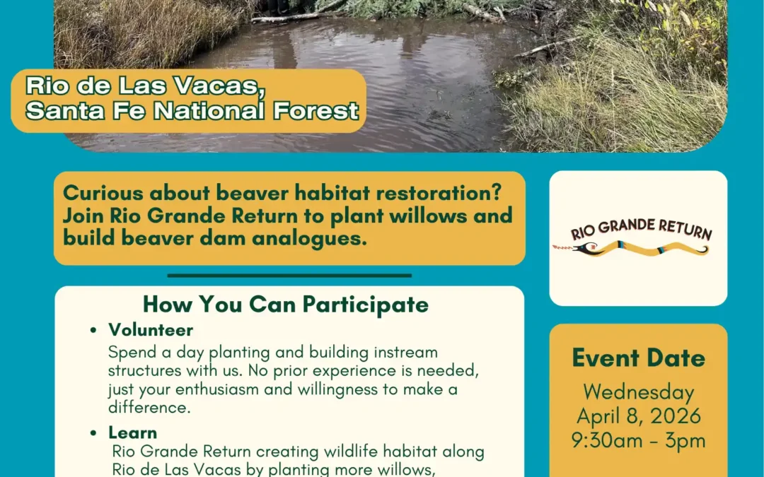 Volunteer Stream Restoration Day on the Rio de Las Vacas, Santa Fe National Forest, Wednesday April 8, 2026 9:30am - 3pm