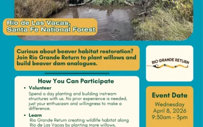 Volunteer Stream Restoration Day on the Rio de Las Vacas, Santa Fe National Forest, Wednesday April 8, 2026 9:30am – 3pm