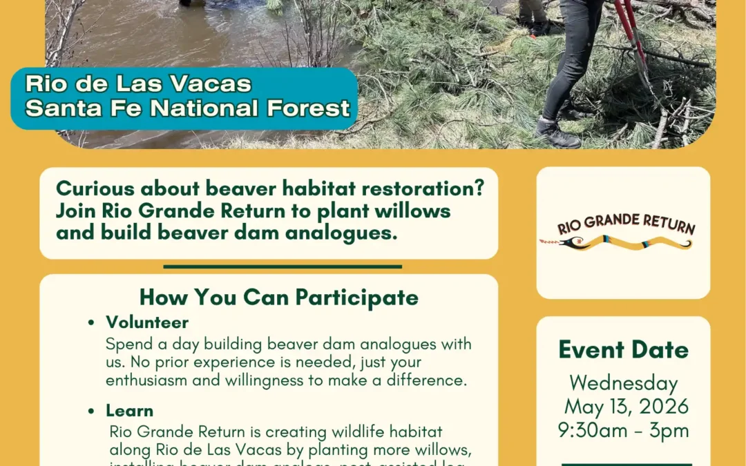Volunteer Stream Restoration Day on the Rio de Las Vacas, Santa Fe National Forest, Wednesday May 13, 2026 9:30 AM - 3 PM