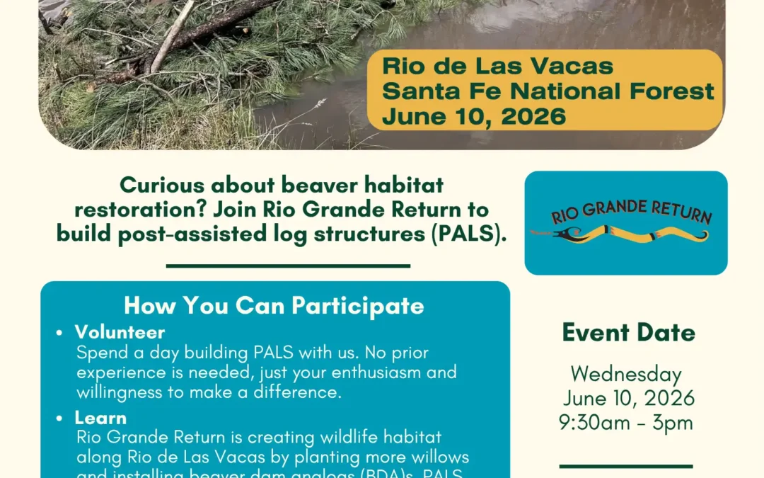 2026-06-10 Rio de Las Vacas Restoration Flyer