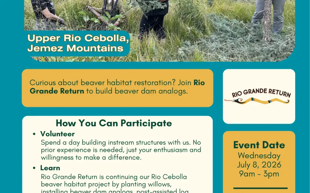 Volunteer Stream Restoration Day on the Upper Rio Cebolla, Jemez Mountains, Wednesday July 8, 2026 9:00 AM - 3:00 PM