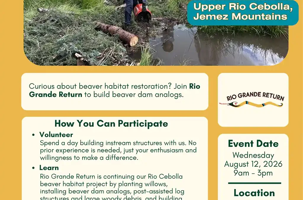 Volunteer Stream Restoration Day on the Upper Rio Cebolla, Jemez Mountains, Wednesday August 12, 2026 9:00 AM - 3:00 PM